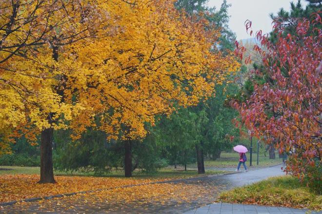 被冻哭的年轻人焊身上了300元一件的滑雪服(图5) 被冻哭的年轻人焊身上了300元一件的滑雪服(图5)